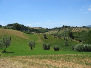Toscana reseskildring Toscanska kullar